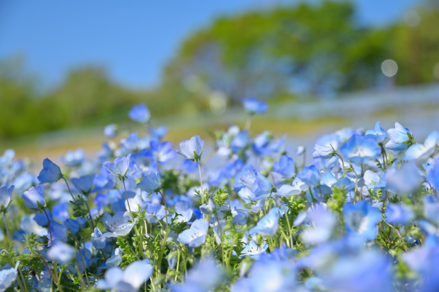 荻野運動公園